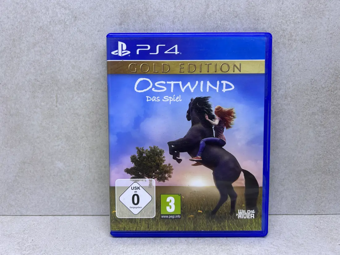 Windstorm the Game GOLD Edition - PS4 igra